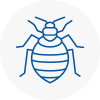 Bed Bug Extermination In Kidderminster